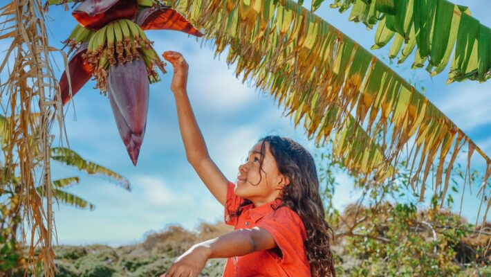 a girl under a banana tree reaching for the banana blossom